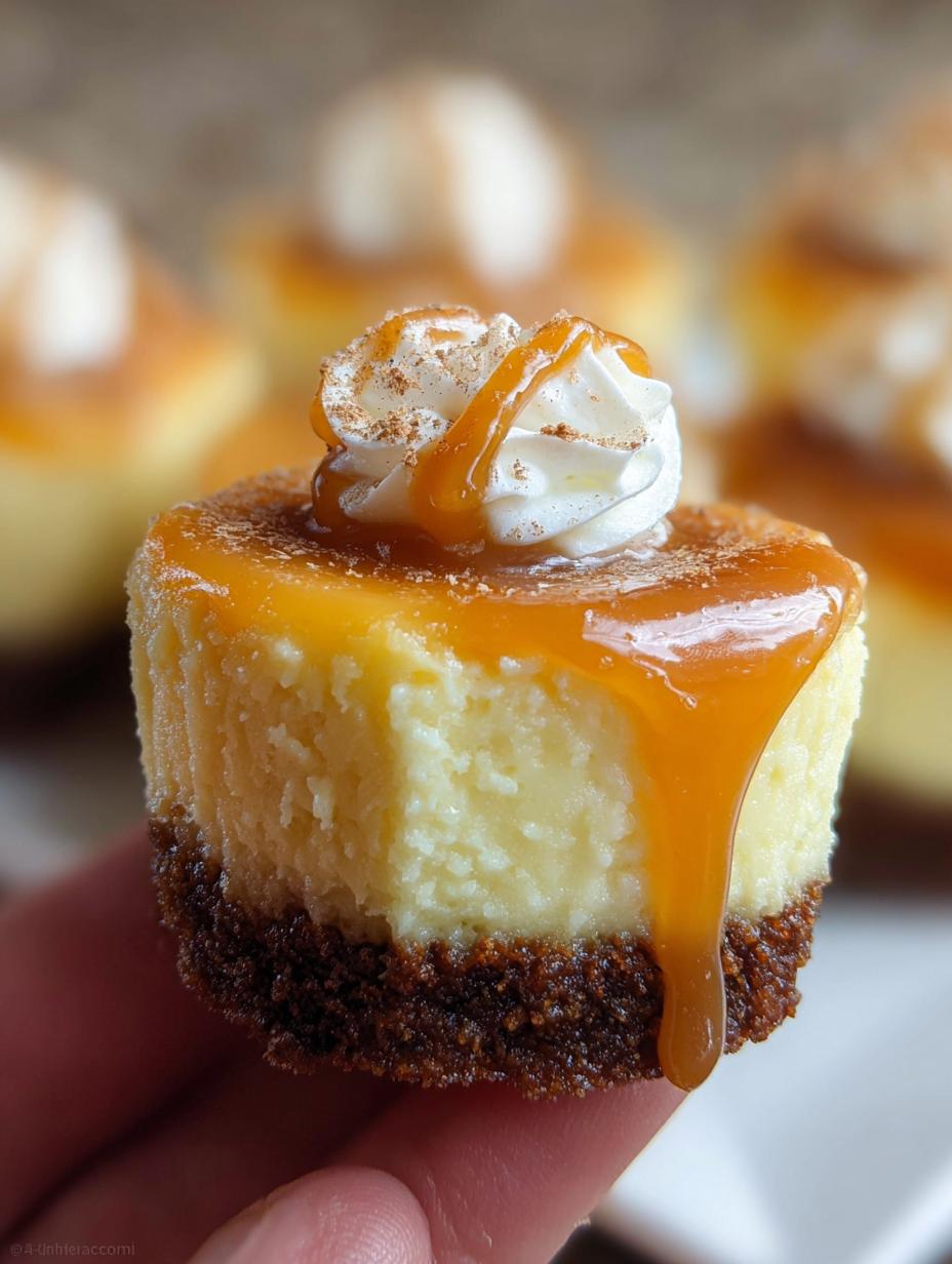 Amazing 3-step Mini Cheesecakes with Homemade Caramel Sauce 5 Mini Cheesecakes with Homemade Caramel Sauce - detail 2